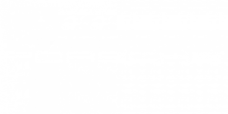 porsche_WH